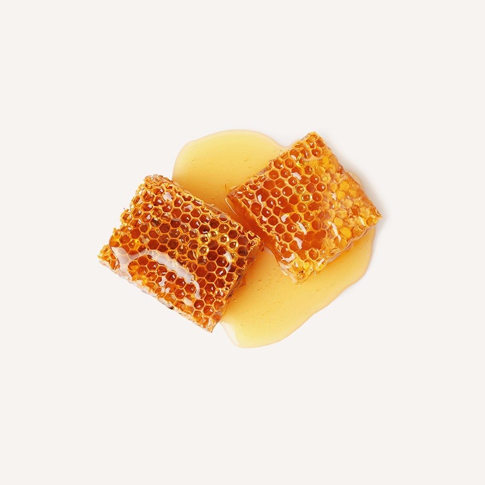 Sourwood Honey Raw Comb Harvested Wildflower