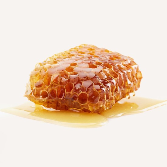 Sourwood Honey Raw Comb Harvested Wildflower
