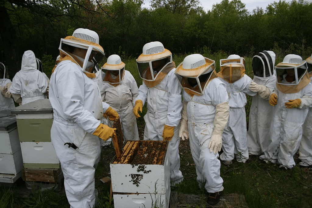Beekeeping Classes