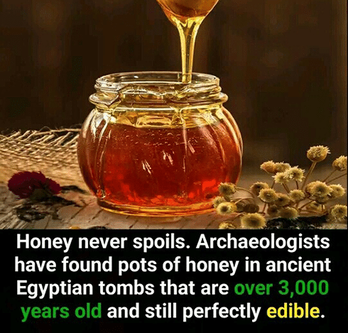 egyptian-Honey